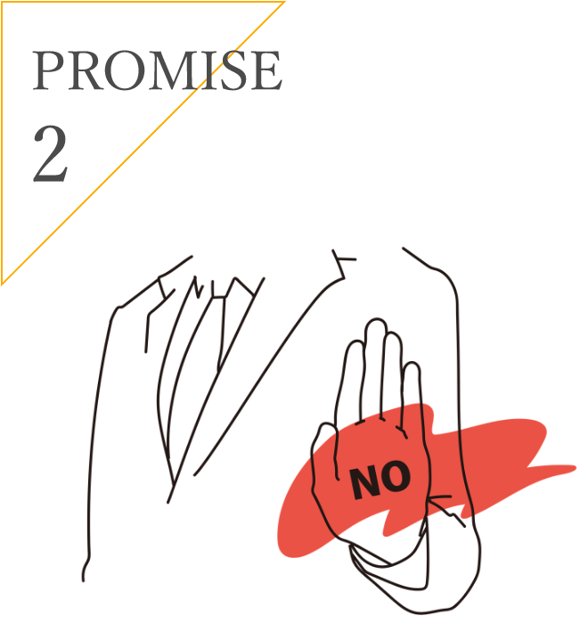 PROMISE2