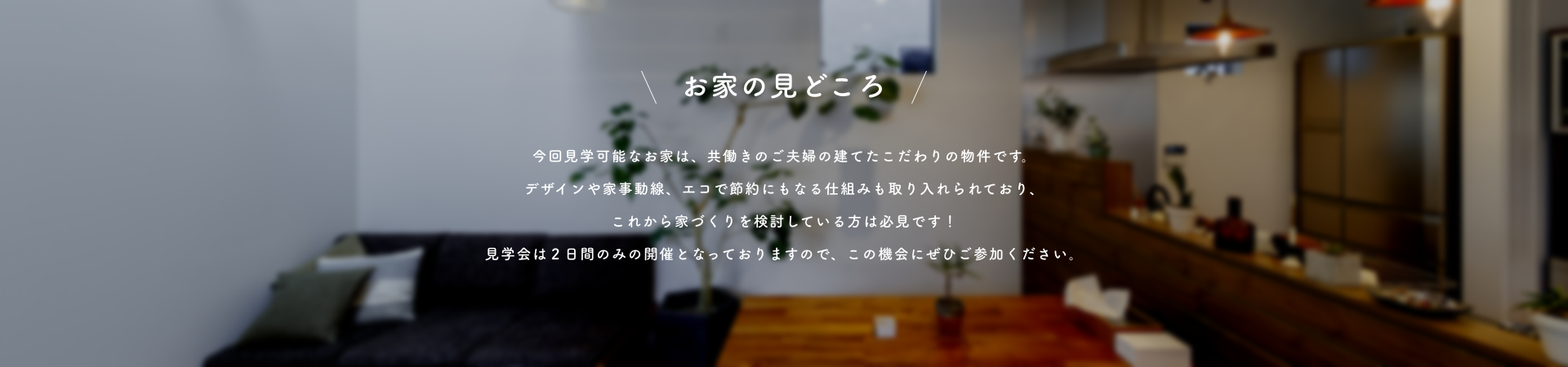 みどころ