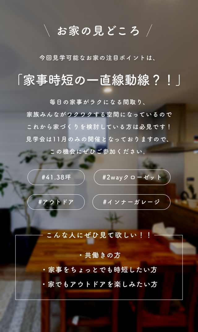 みどころ