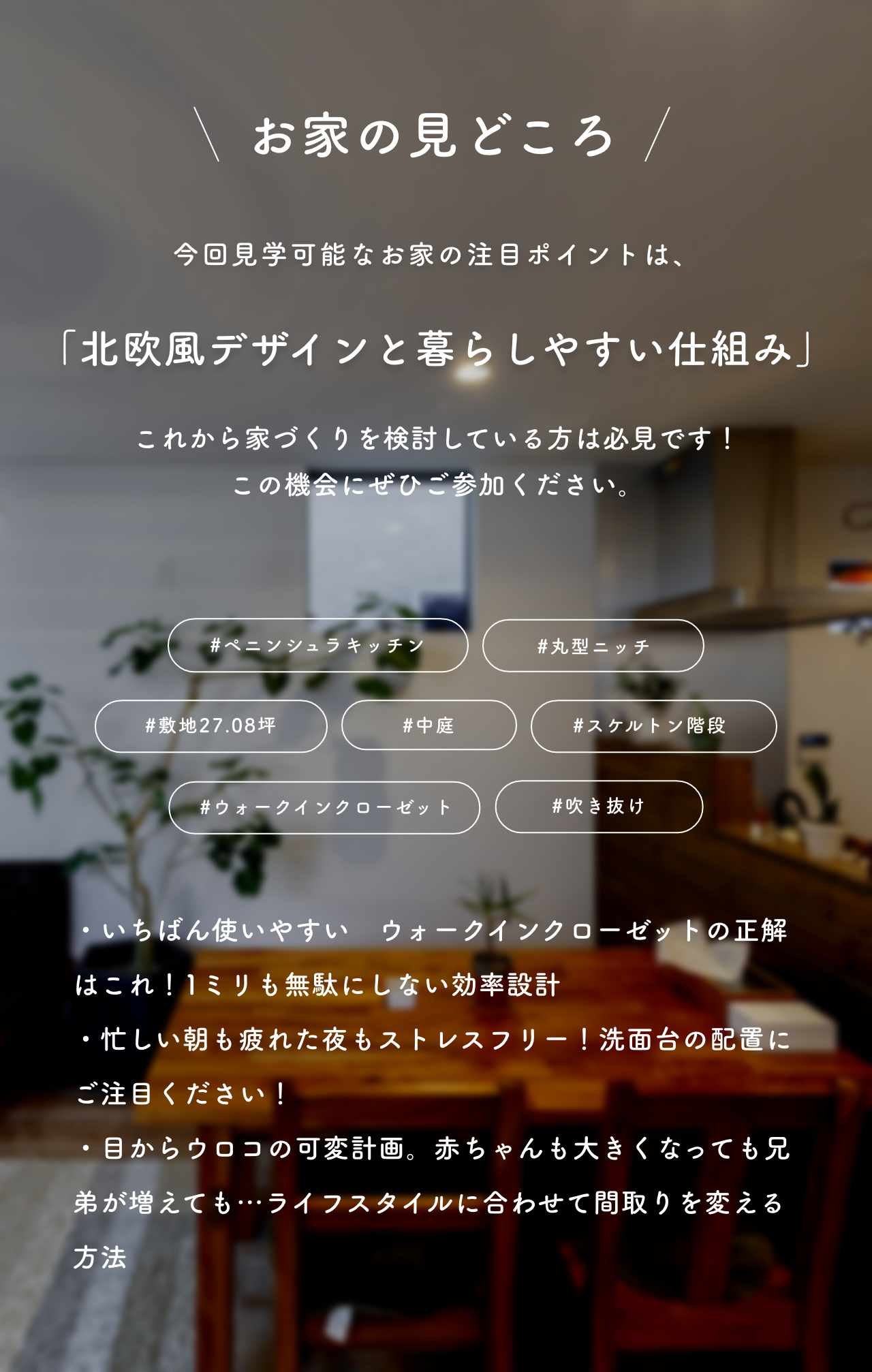 みどころ